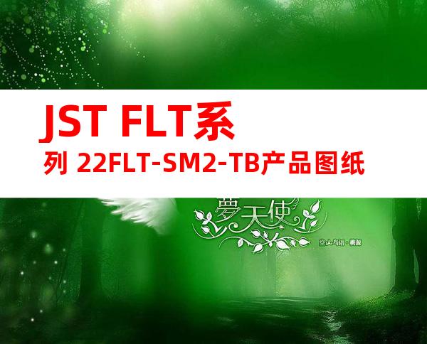 JST FLT系列 22FLT-SM2-TB产品图纸